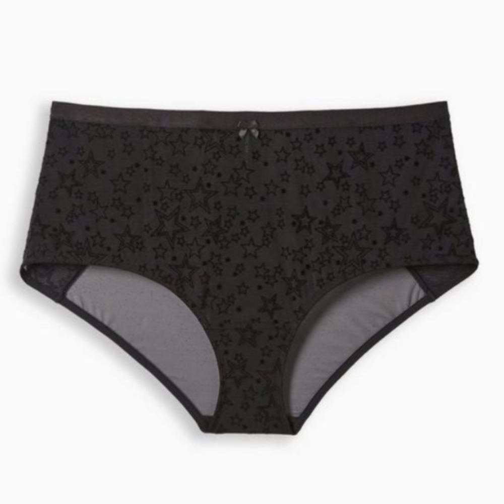 Mesh and Flocking Mid Rise Brief Panty